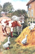 Künstler signiert Sydney Hayes Oilette Freunde finden Kühe Esel Gänse