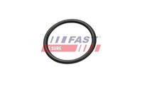 Fast Dichtung KüHlmittelrohrleitung FT49927 FüR Ford Transit Bus Ranger TKE V363