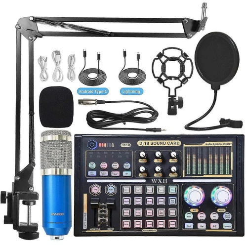 Professionelles Studio-Audio-Kit Mikrofon-Soundkarten-Tuning-Equipment - Blau