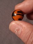Peltier Nlr 0.61" Tiger Marble Loaded With Aventurine — photo 10
