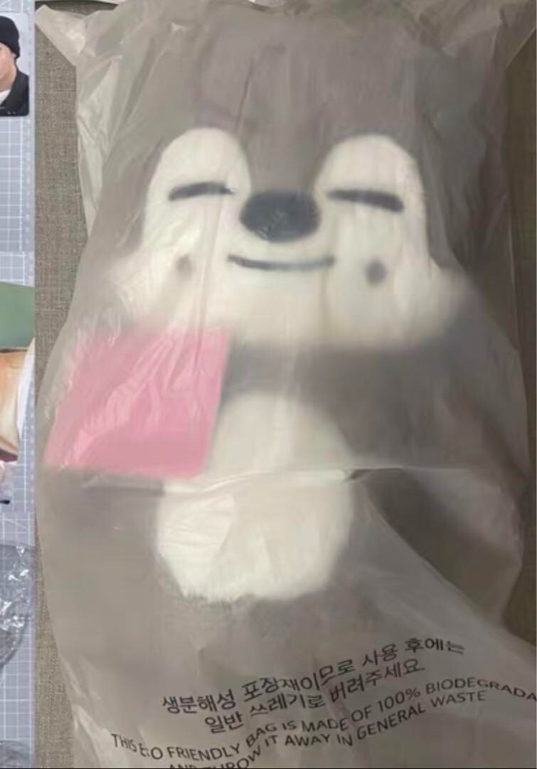 choi hyunsookさま専用 Stray Kids SKZOO WolfChan Official Plush Doll H 60cm Teddy