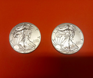 2x American Silver Eagle 2019 1 oz Silber 0.999 One Dollar Münzen Feinsilber