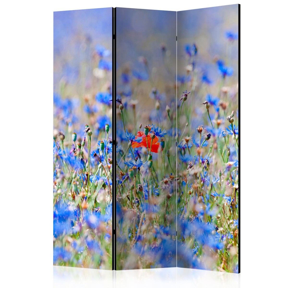 Paravent 3 volets imprimé Meadow Cornflowers 135x172cm pour salon