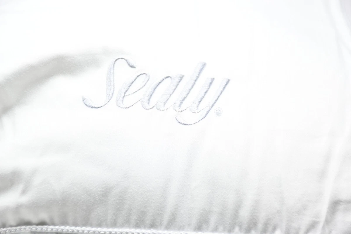 Sealy down alternative pillow deals