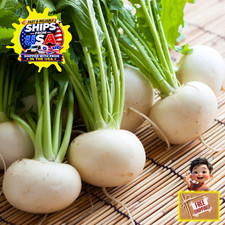 White Tokyo Turnip Seeds | Japanese | Tennouji Kabura | Hakurei | Asian