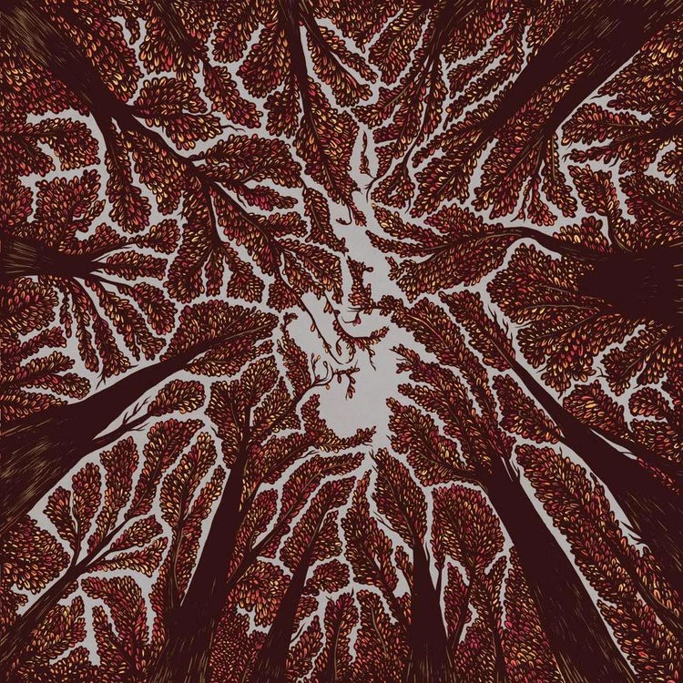 Trash Boat Crown Shyness Album - Bild 1 von 1