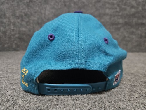 Vintage The Game NBA Charlotte Hornets Snapback Hat Cap 354 of 6000 - Picture 3 of 9