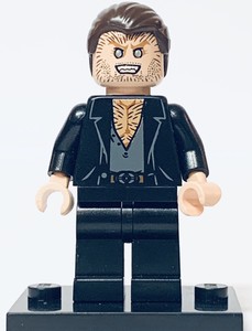 lego harry potter werewolf