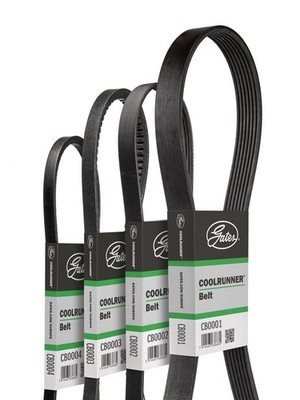 GATES CB0036 Mehrrippen-Keilriemen passt zu: THERMO KING SL 100e SL 200e SL 400e