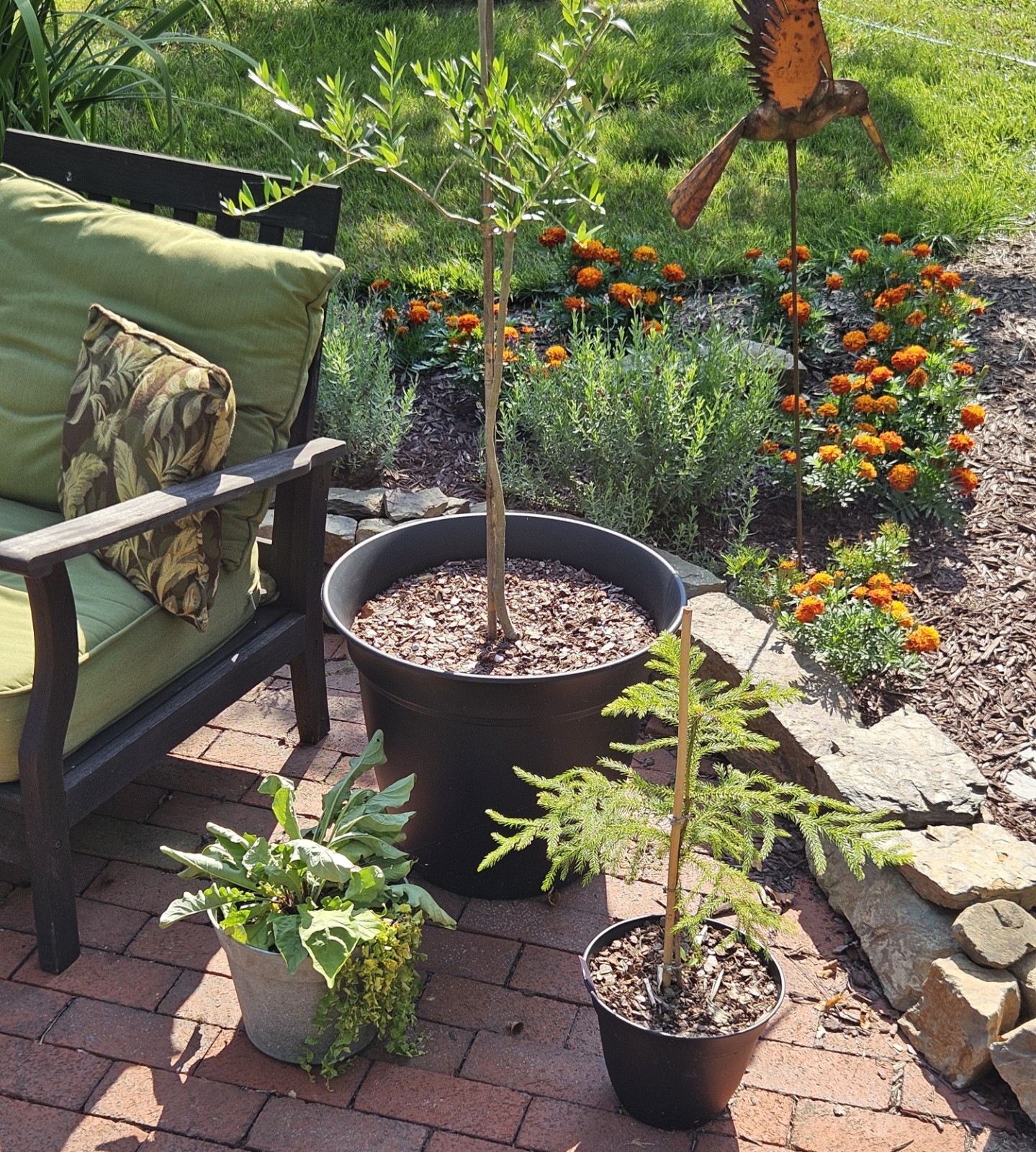 Fast Draining Mix, Indoor Outdoor,  Organic, Soil-less, Peat-Free, 12 Quarts