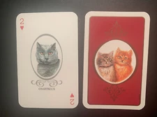 Swap Playing Card CATS  Chartreux  TWO  OF HEARTS Bridge Card BELGIUM 1988