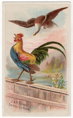 Coats' Spool Thread Cotton Trade Card - Eagle & Fighting Game Cocks c.1880s