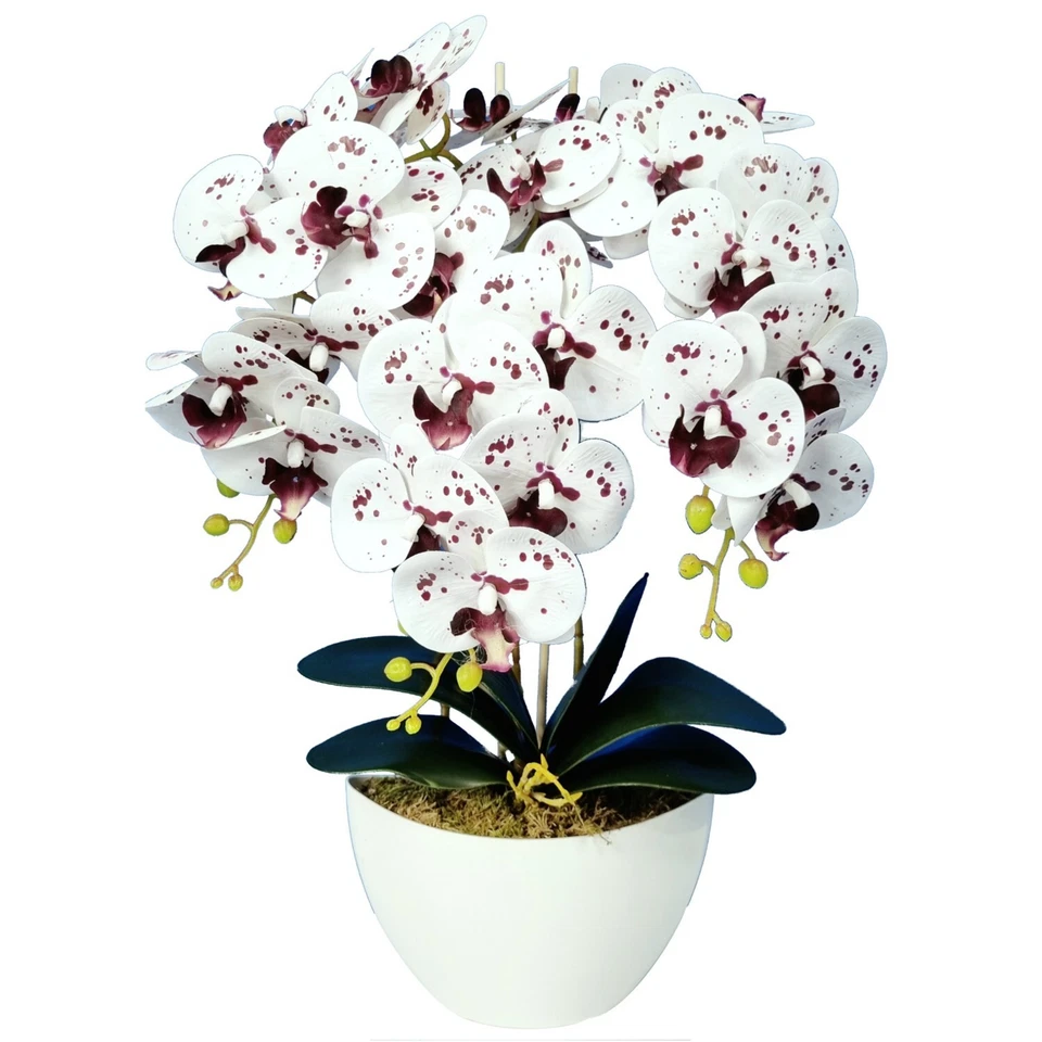 Künstliche Orchideen im Deko Topf groß XL 60cm hoch Weiß wie Echt - Bild 1 von 1