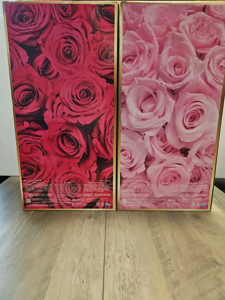 Freeing 1/4 B Style Kano Sisters Mika Kano Kyoko Kano - Image 3 of 4