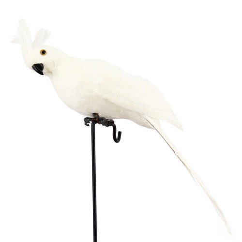 25cm Artificial Fake Parrot Birds Imitation Realistic Garden Lawn Decor Ornament - Picture 9 of 17