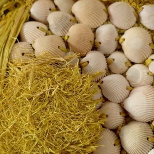 Jamin Puech Fish Bag 2019 S/S Rafia Shoulder Summer Yellow Near Mint  from japan - Image 4 of 4