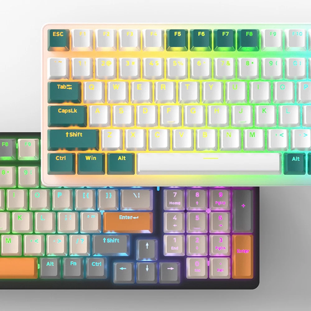 ZIYOULANG 100 Key 98% Compact Layout Wired Mechanical Keyboard for Enhanced Typing Experience and Gaming Performance with 9480 Customization Options