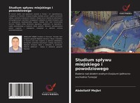 Studium Sp¿Ywu Miejskiego I Powodziowego Abdellatif Mejbri Taschenbuch Polnisch