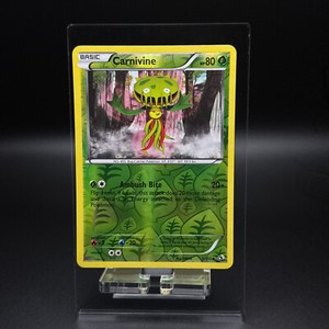 *NM* Pokémon Carnivine Reverse Holo 5/113 LTR Legendary Treasures