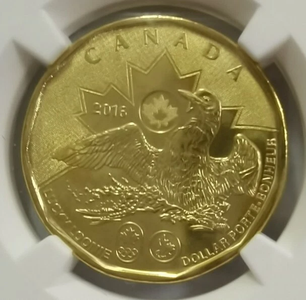 2016 CANADA $1 NGC MS67 Lucky Loonie [KM#2089] RIO Olympics - Image 3 of 4