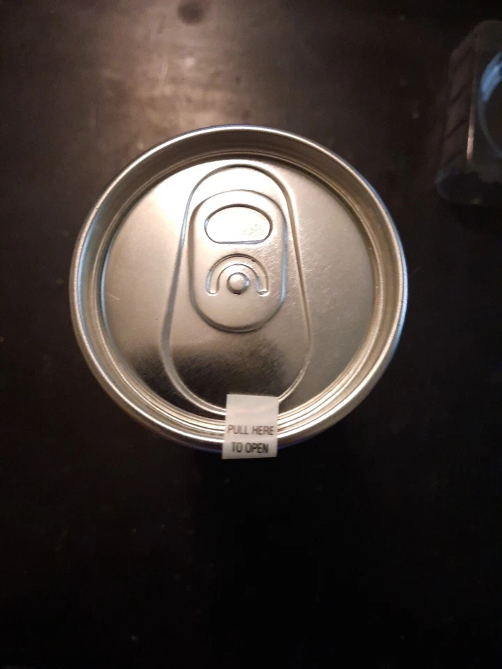 NASCAR 压铸汽车 2002 Jeff Gordon #24 百事可乐杜邦蓝色收藏品汽车罐装 — 第 3/4 张图片