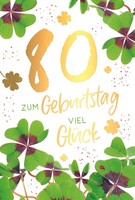 80. Geburtstag Viel GlüCk GlüCksklee GlüCkwunschkarte Mit Umschlag