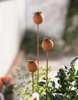 "Rost Gartenstecker \"Mohn\" Metall 60 80 100 Cm Hoch, Outdoor Garten Deko Stecker"
