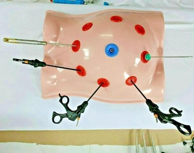 Laparoscopic Endotrainer Full Body Kit With 5 Instruments Surgery Practice Set
