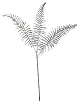 Artplants Deko Boston Farn Zweig Nakhon, Silber, 70Cm