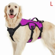 rabbitgoo No Pull Dog Harness Adjustable Soft Padded Vest Reflective Purple L