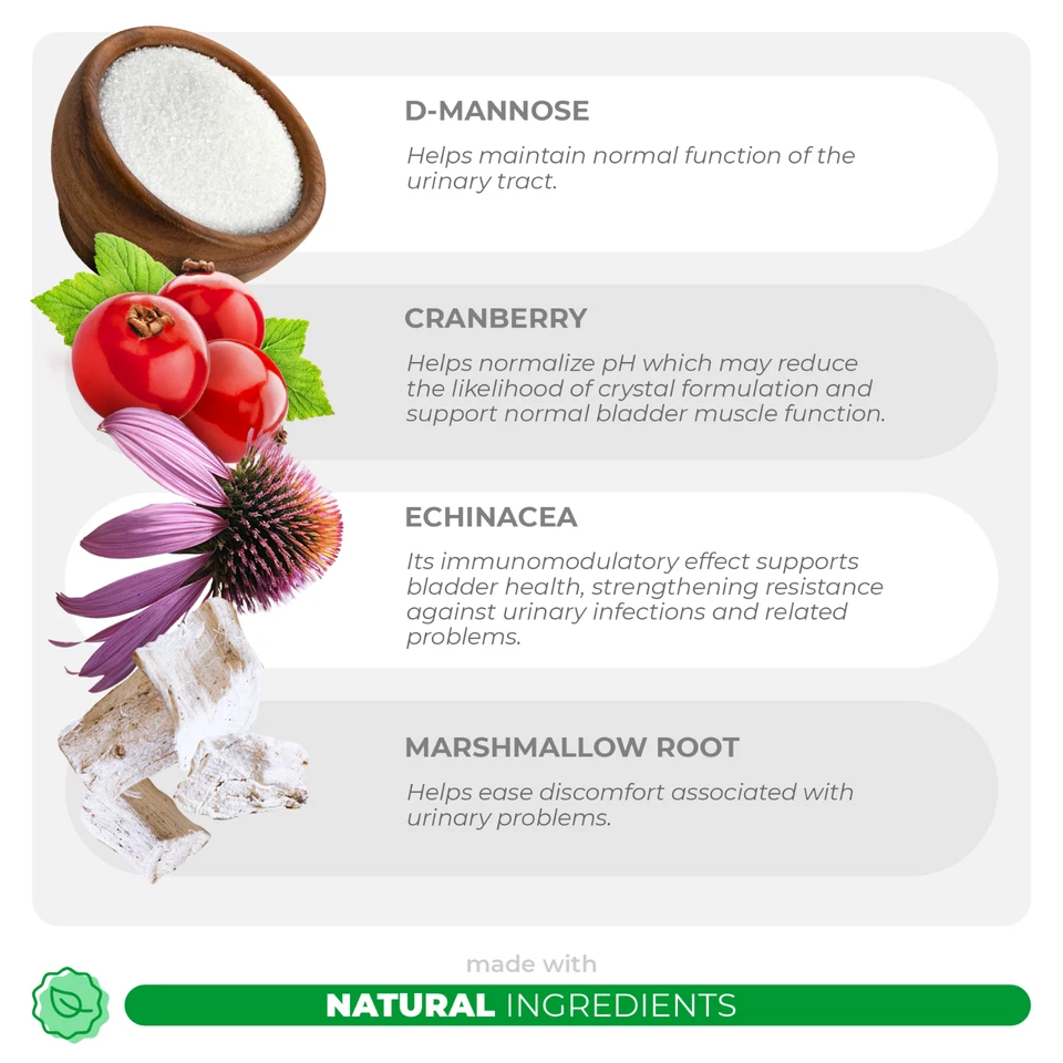 Arándano para gatos soporte para incontinencia, soporte del tracto urinario, infección urinaria de gato, vejiga Foto 3 de 4