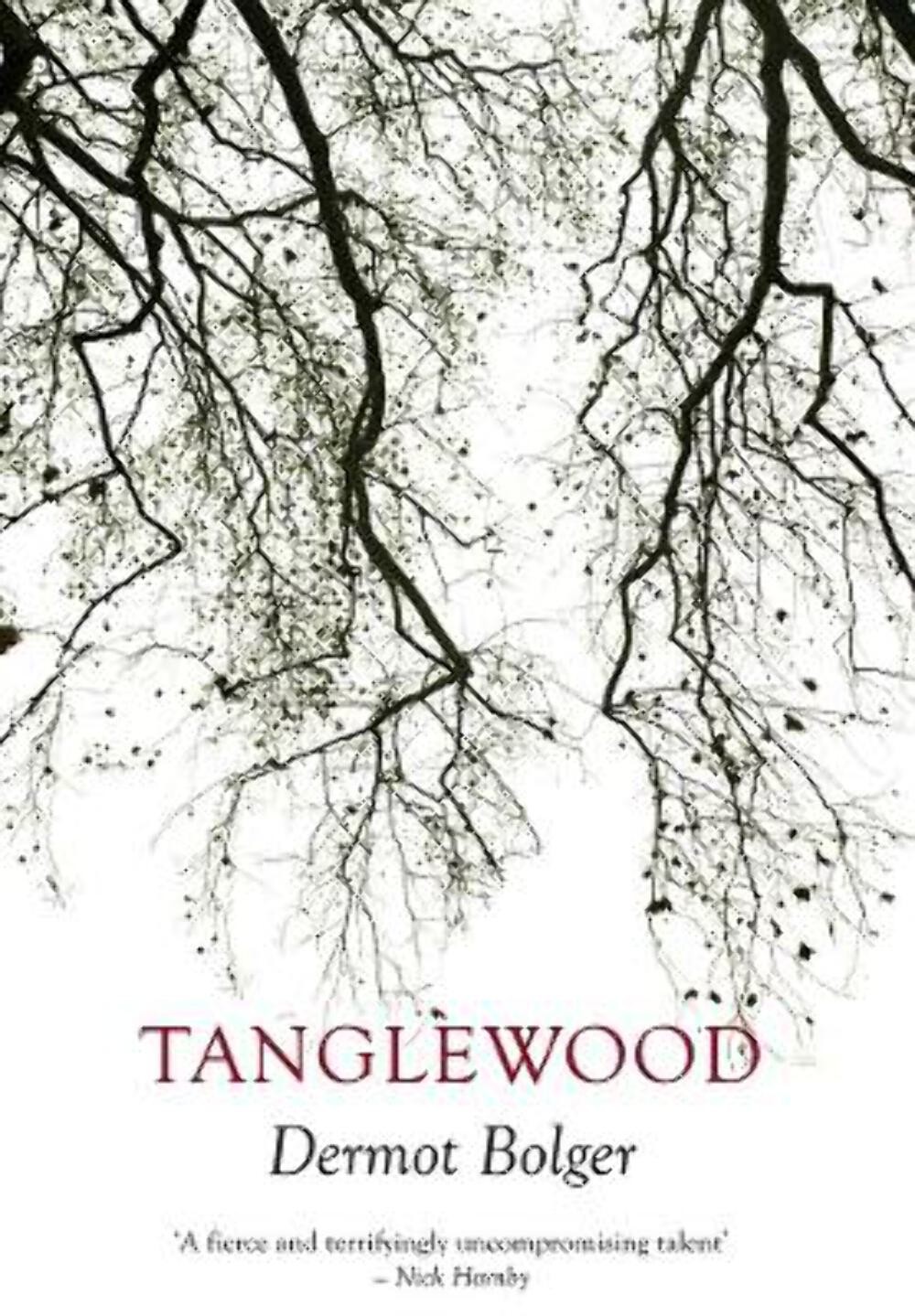 Dermot Bolger: Tanglewood [2015] paperback