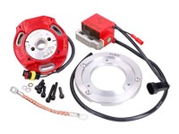 Innenrotor ZüNdung Italkit Selettra Analog FüR Gilera Runner, Piaggio Skipper, H