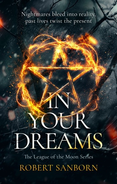 In Your Dreams by Robert Sanborn (Paperback Book)