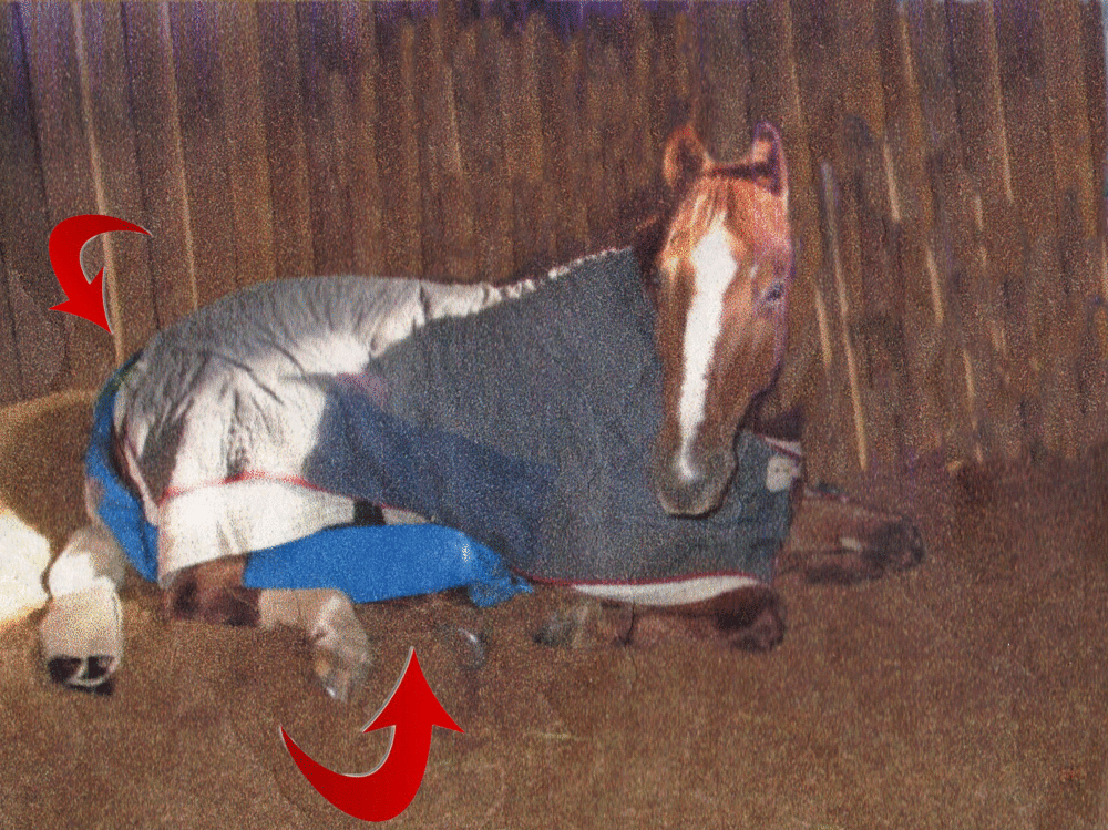 Picture 4 of 4