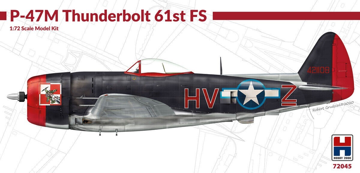 ハセガワ　THUNDERBOLT P-47M 1/72 Model : P-47M Thunderbolt at 1/72 scale - Kaizenist