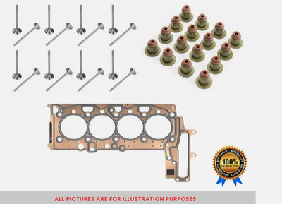 BMW 2.0 N47D20 Diesel Head Gasket, Stem Seals, Inlet & Exhaust Valves