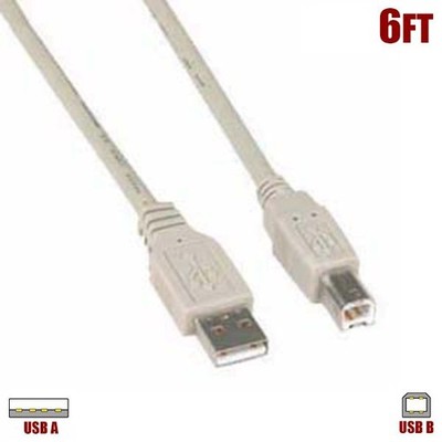 6FT USB Type A Male to B Male Data Cable Scanner Printer Computer PC Mac Ivory