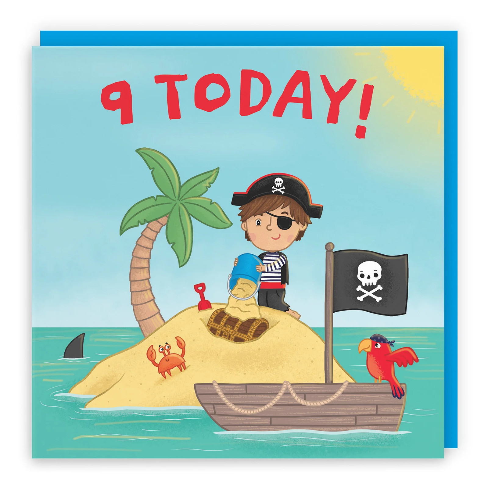 9th Birthday Boys Children's Pirate Desert Island Card Imagination