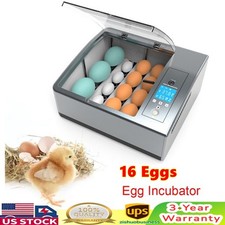 ✅16 Eggs Egg Incubator for Hatching Egg Full Automatic Turning Duck Chicken Egg