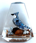 Vintage Hand Carved Painted Blue Jay Lucite/Acrylic Unique Canada Paperweight — photo 1