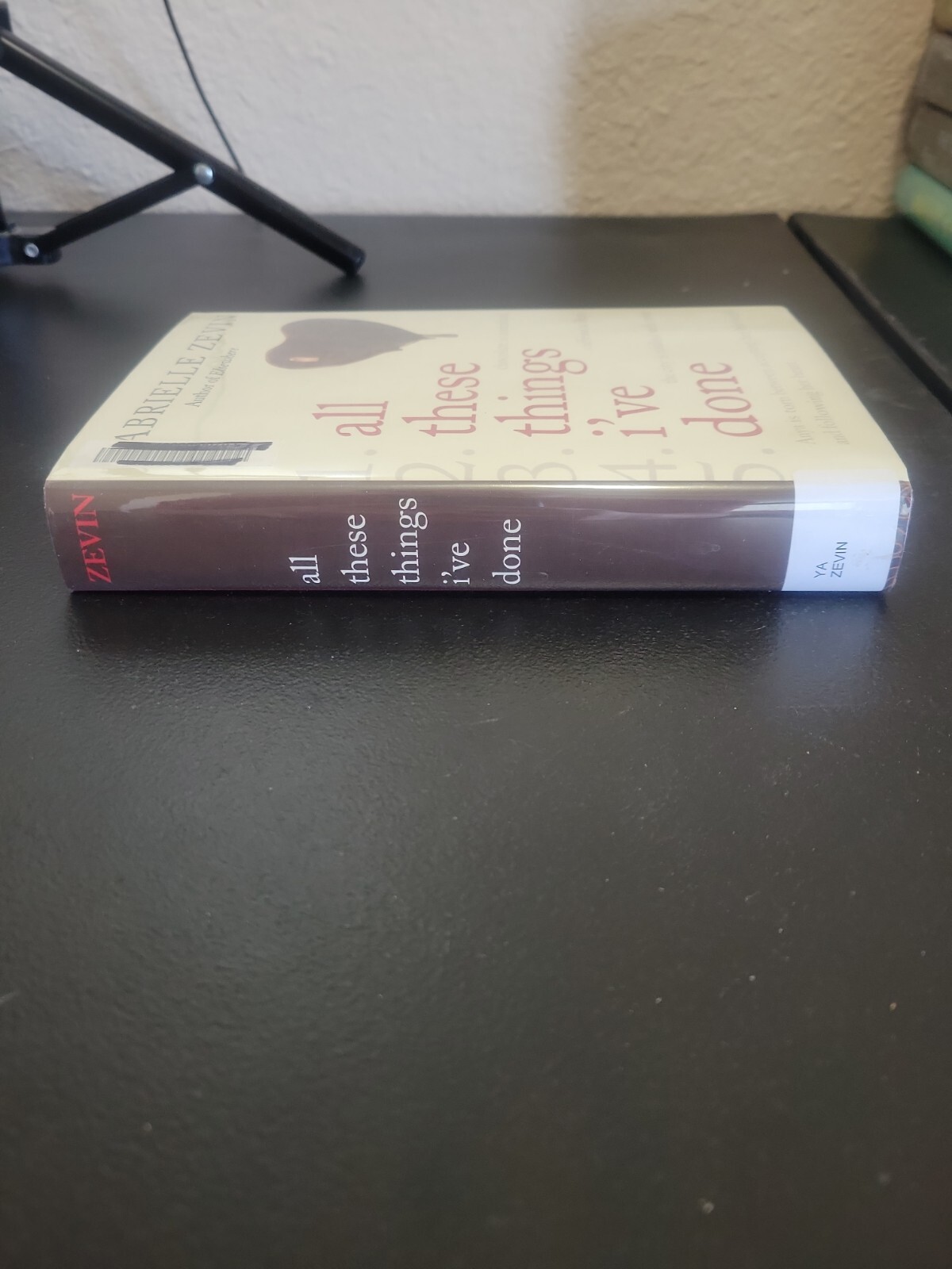All These Things I've Done A Novel by Gabrielle Zevin