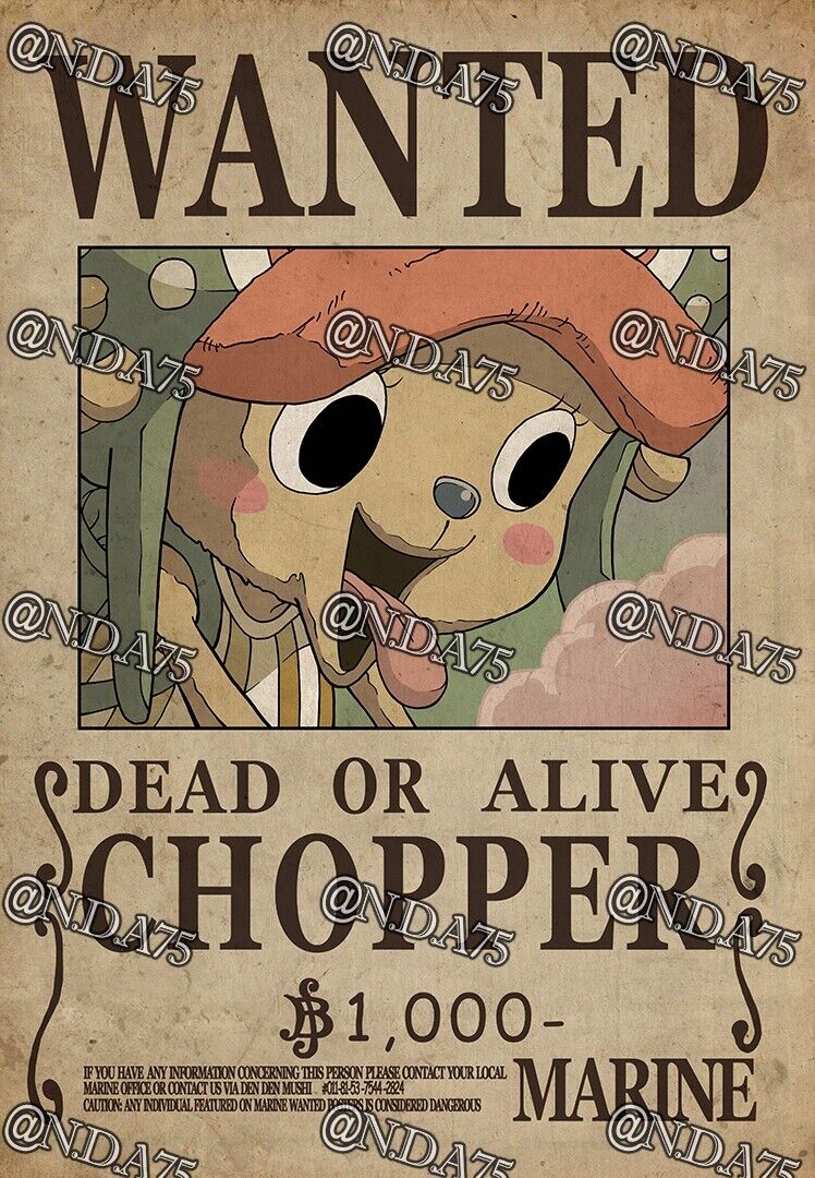 Affiche wanted Chopper 1 000 Berry ONE PIECE – Ton Manga Preferé