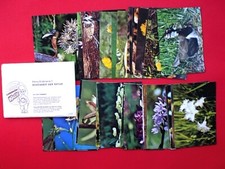 1974 kompletna seria zdjęć PENNY 7 PIĘKNO NATURY usługa zdjęć