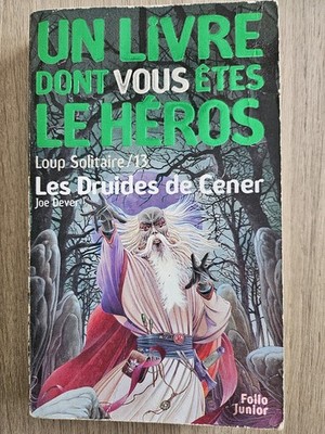 EIN BUCH, DESSEN HELD DU BIST / DIE ASCHERDRUIDEN / EINSAMER WOLF 13