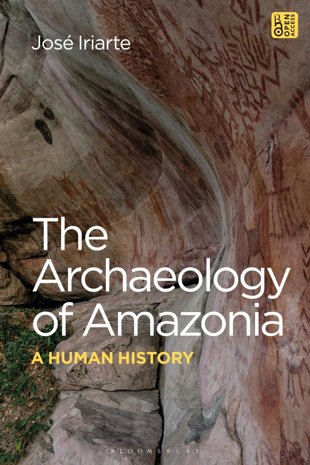 The Archaeology of Amazonia: A Human History by JosÃ© Iriarte (PB 2024) - Image 3