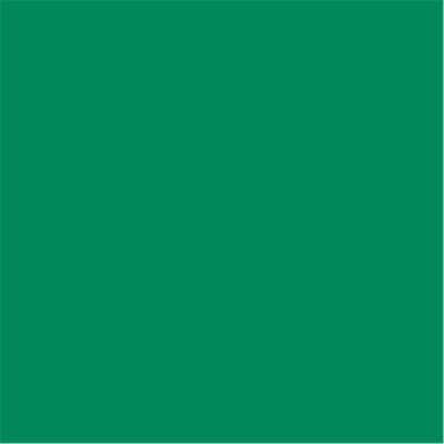 Liquid Watercolor Ecoline 30ml - 656 Forest Green | Talens