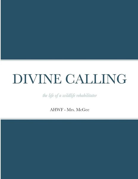 Mcgee | Divine Calling | Taschenbuch | Englisch (2020) | Kartoniert / Broschiert-image