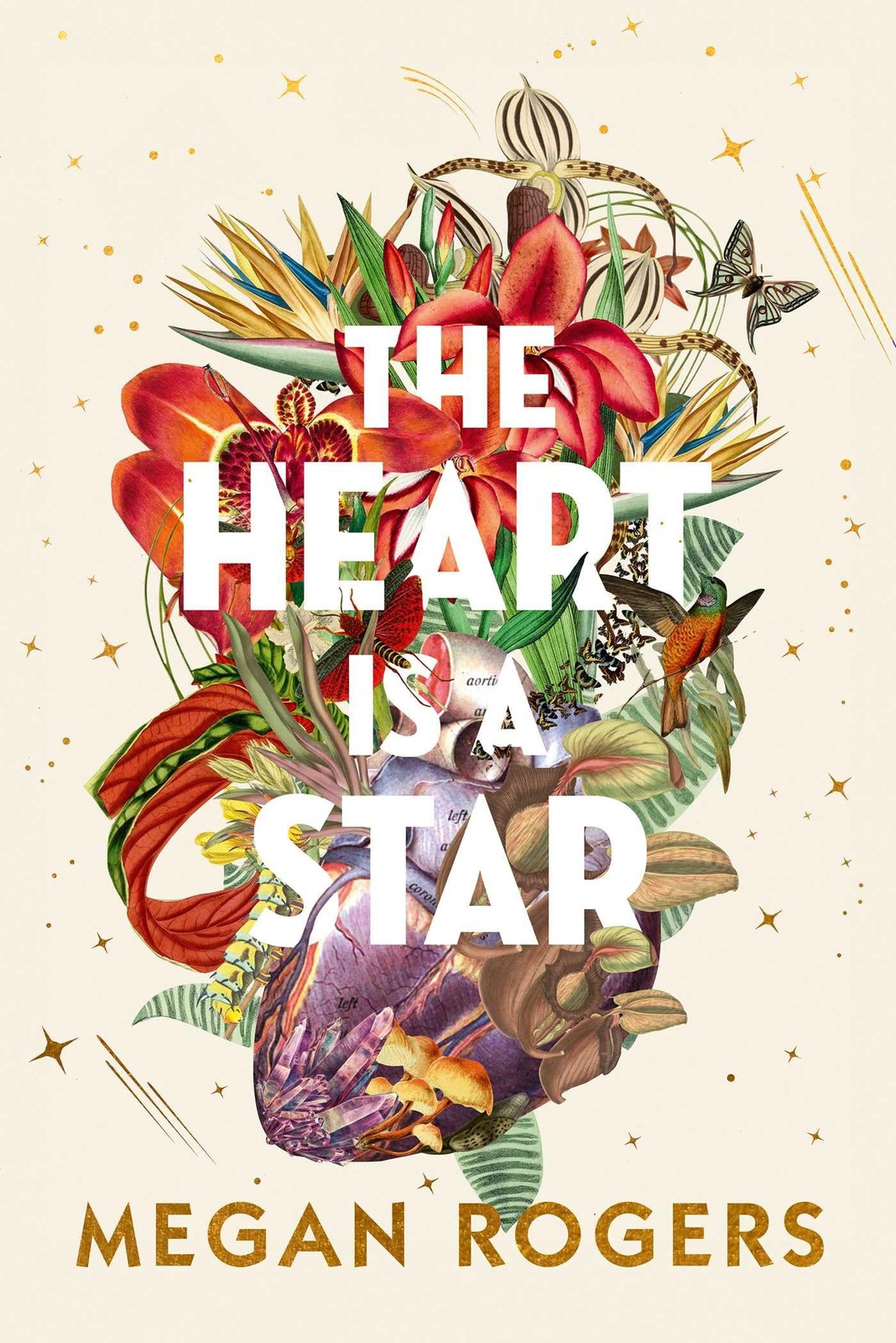 Heart is a Star: A Novel, Rogers, Rogers, 9781771683906 Fast Free Shipping.+