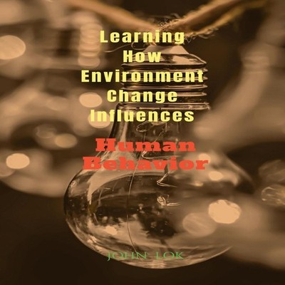 Learning How Environment Change Influences John Lok Paperback Rep